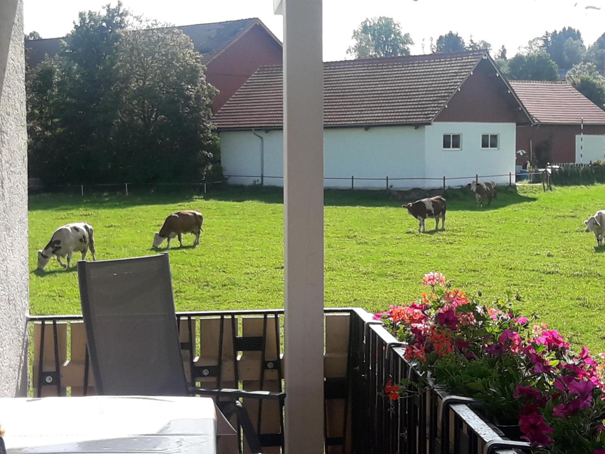 Gaestehaus Reisacher - Mehrbettzimmer Apartment *