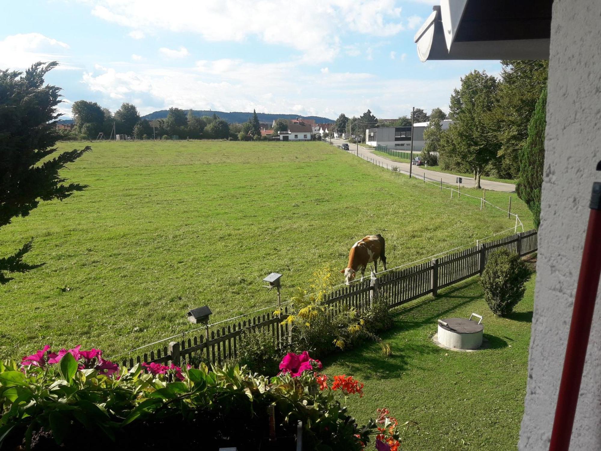 Gaestehaus Reisacher - Mehrbettzimmer Apartment *